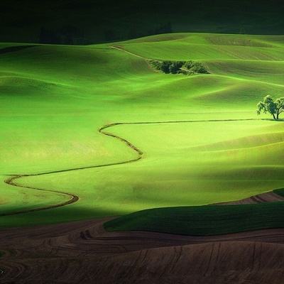 跳水群星现身知音号 郭晶晶盛装出席