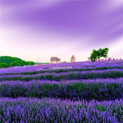 救护车被撞侧翻 小伙儿踹窗救出5人